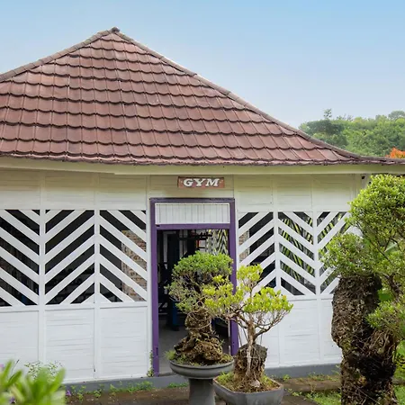 The Kleep Jungle Resort