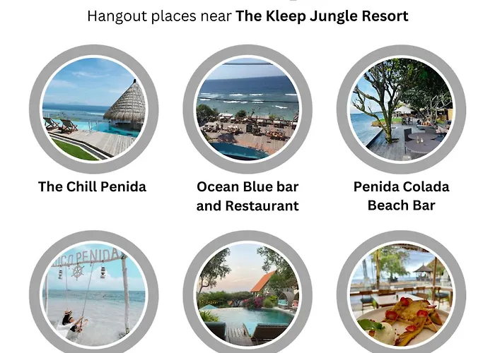 The Kleep Jungle *